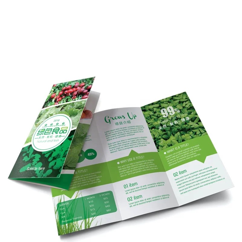 Tri-Fold Brochure
